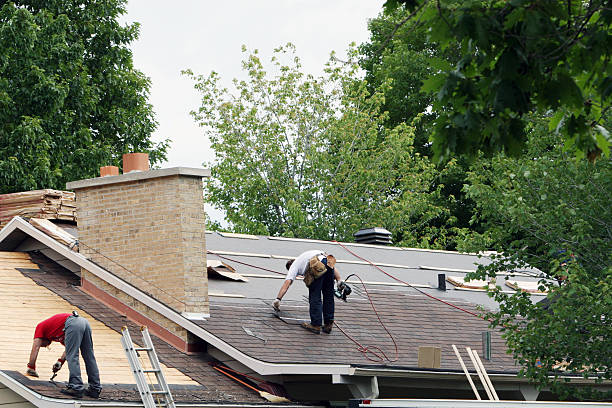 Best Metal Roofing Contractor  in Odem, TX