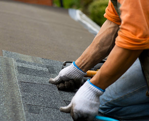 Best Flat Roof Repair Services  in Odem, TX