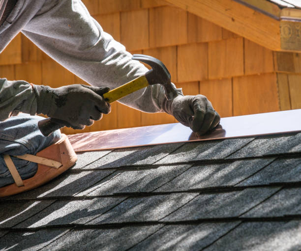Best Storm Damage Roof Repair  in Odem, TX
